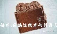 深入解析：区块链技术的种类与应用