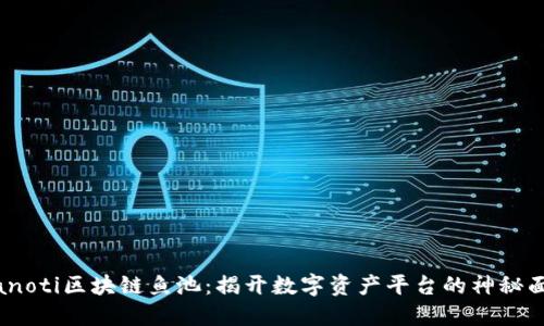 bianoti区块链鱼池:揭开数字资产平台的神秘面纱