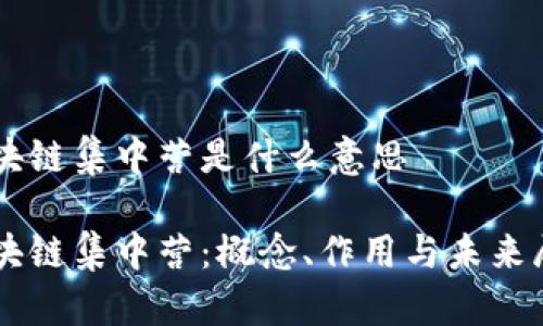 区块链集中营是什么意思
区块链集中营:概念、作用与未来展望