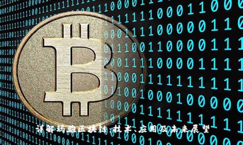 详解玛雅区块链:技术、应用及未来展望