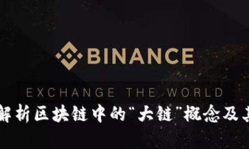 彻底解析区块链中的“大链”概念及其应用
