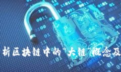 彻底解析区块链中的“大链”概念及其