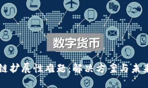 区块链扩展性难题:解决方案与未来发展