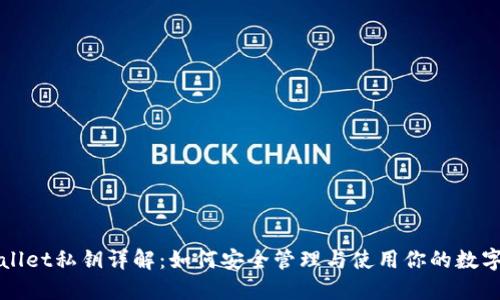 TPWallet私钥详解:如何安全管理与使用你的数字资产