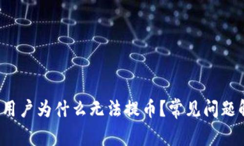 TPWallet：中国用户为什么无法提币？常见问题解析与解决方案