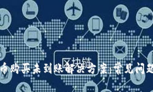 tpwallet新币购买未到账解决方案:常见问题及处理方法