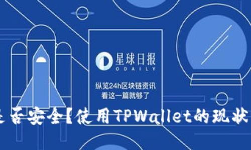 TPWallet是否安全？使用TPWallet的现状与用户指南