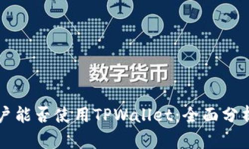 大陆用户能否使用TPWallet:全面分析与指导