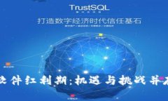 区块链软件红利期：机遇与挑战并存的