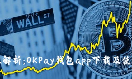 全方位解析：OKPay钱包app下载及使用指南