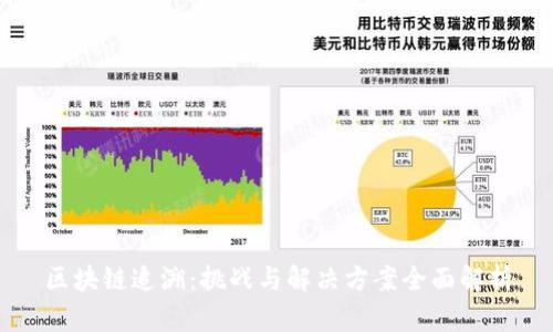 区块链追溯:挑战与解决方案全面解析