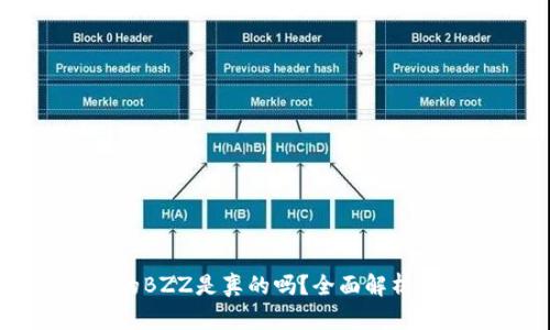 TPWallet的BZZ是真的吗？全面解析与用户指南