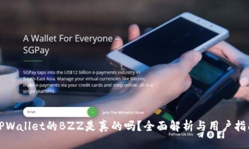 TPWallet的BZZ是真的吗？全面解析与用户指南