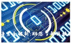 区块链技术开发语言全解析：助您了解