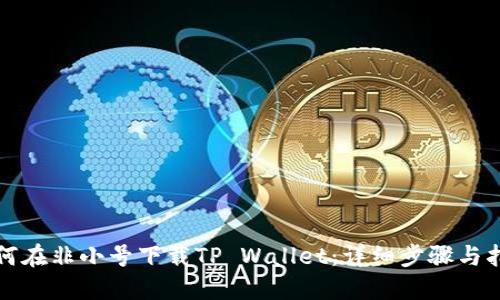 如何在非小号下载TP Wallet:详细步骤与指南