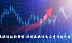 区块链机构详解：理解区块链生态中的