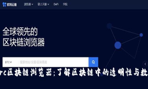## src区块链浏览器:了解区块链中的透明性与数据追踪