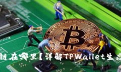 TPWallet公链在哪里？详解TPWallet生态和