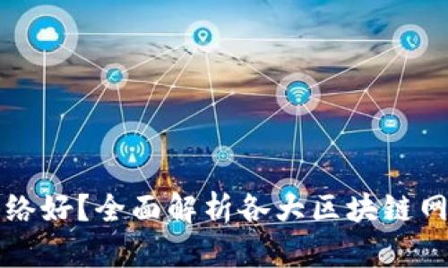 TPWallet用哪个网络好？全面解析各大区块链网络的特点与适用性