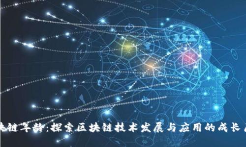 区块链年龄:探索区块链技术发展与应用的成长历程