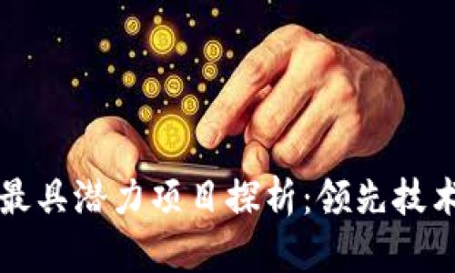 未来区块链最具潜力项目探析:领先技术与应用前景
