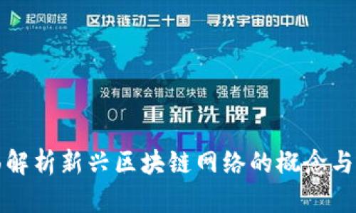 全面解析新兴区块链网络的概念与发展