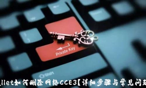 
TPWallet如何删除网络CCE3？详细步骤与常见问题解析