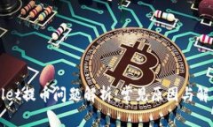 TPWallet提币问题解析：常见原因与解决