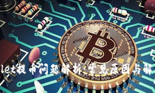 TPWallet提币问题解析:常见原因与解决方案