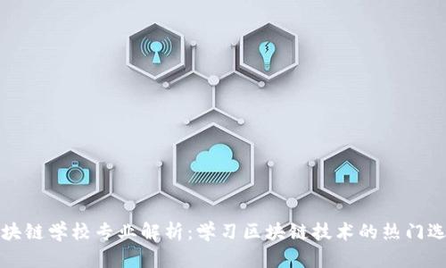 区块链学校专业解析:学习区块链技术的热门选择