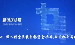 Title: 深入探索区块链零资金项目：新