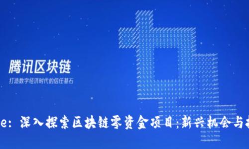 Title: 深入探索区块链零资金项目:新兴机会与挑战