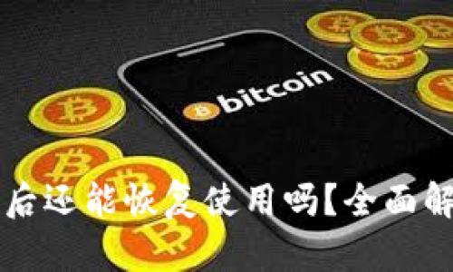 TPWallet被盗后还能恢复使用吗?全面解析与解决方案