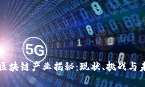 真实的区块链产业揭秘:现状、挑战与未来趋势
