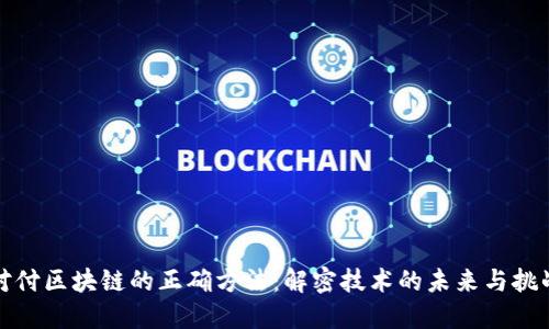 对付区块链的正确方法:解密技术的未来与挑战