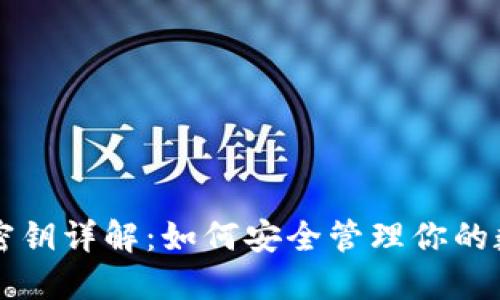 区块链密钥详解:如何安全管理你的数字资产