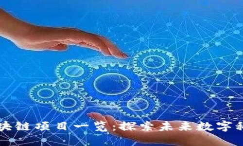 丁磊投资的区块链项目一览:探索未来数字科技的无限可能