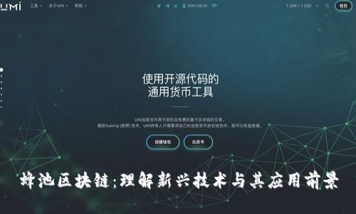 蜂池区块链:理解新兴技术与其应用前景
