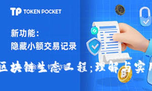 区块链生态工程:理解与实用