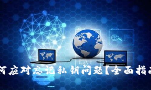 TPWallet如何应对忘记私钥问题?全面指南与解决方案