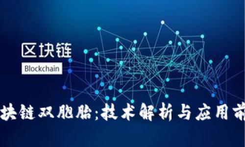 区块链双胞胎：技术解析与应用前景