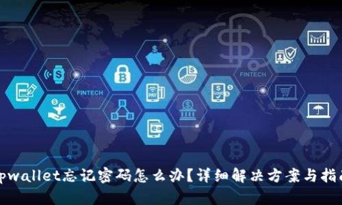 tpwallet忘记密码怎么办?详细解决方案与指南