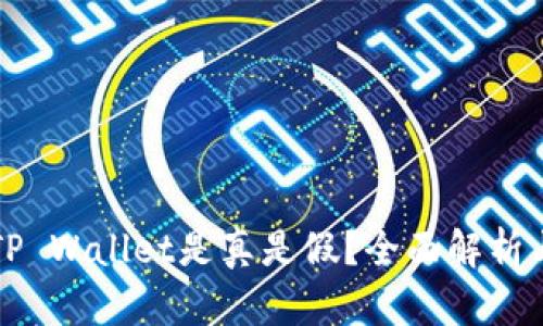 国内下载的TP Wallet是真是假?全面解析与安全性评估