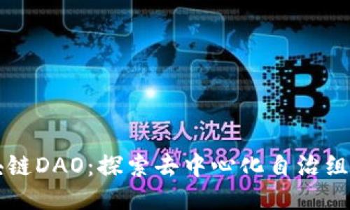 红杉区块链DAO:探索去中心化自治组织的未来
