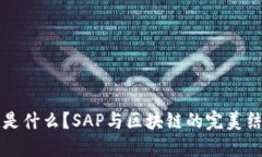 区块链是什么？SAP与区块链的完美结合