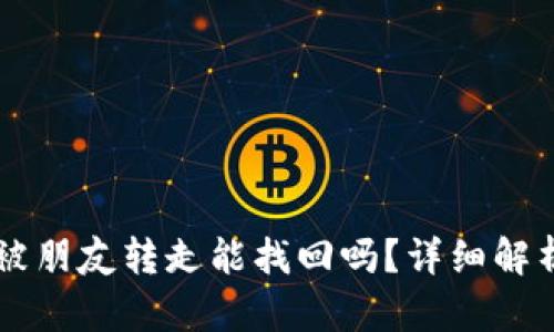 TPWallet币被朋友转走能找回吗?详细解析与解决方案