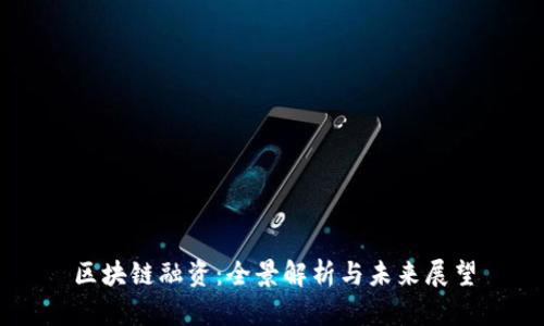 区块链融资:全景解析与未来展望
