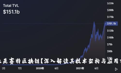 什么是赛特区块链?深入解读其技术架构与应用前景