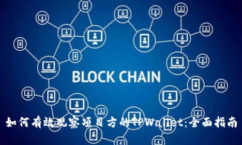 如何有效观察项目方的TPWallet：全面指南
