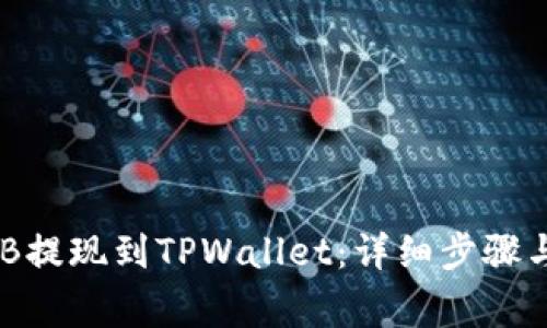 如何将BNB提现到TPWallet:详细步骤与注意事项
